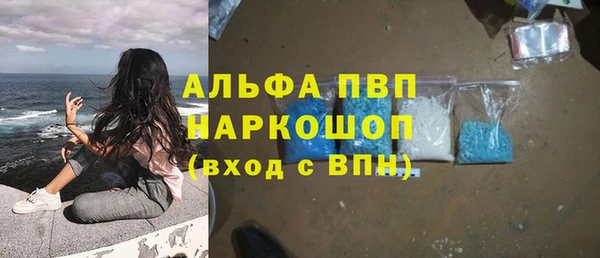 каннабис Новозыбков