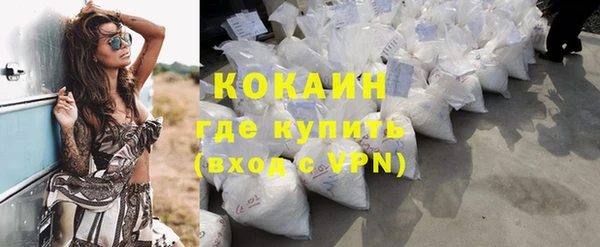 каннабис Новозыбков