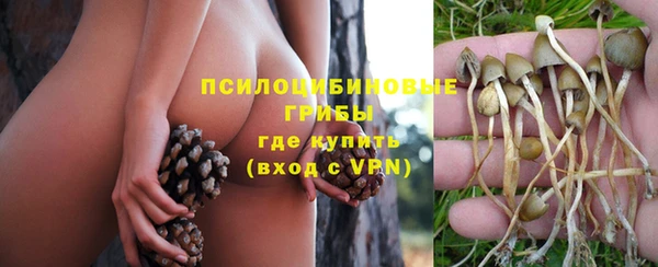 мдпв Сосновый Бор