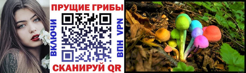 Галлюциногенные грибы Magic Shrooms  купить  цена  Калининск 